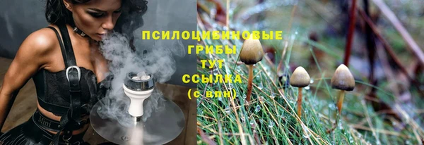 соль ск Вяземский
